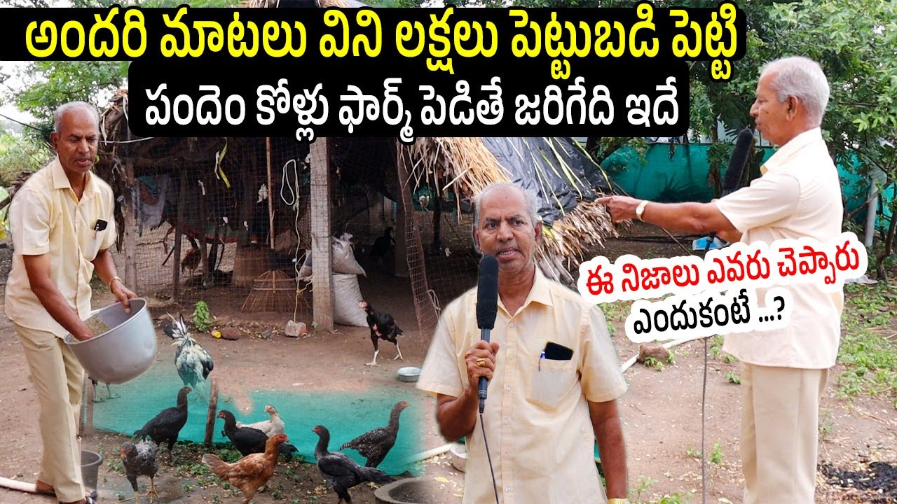 How To Start Pandem Kolla Pempakam Full Details By Penumetcha Srinivasa Raju From Bapatla | N5 Media