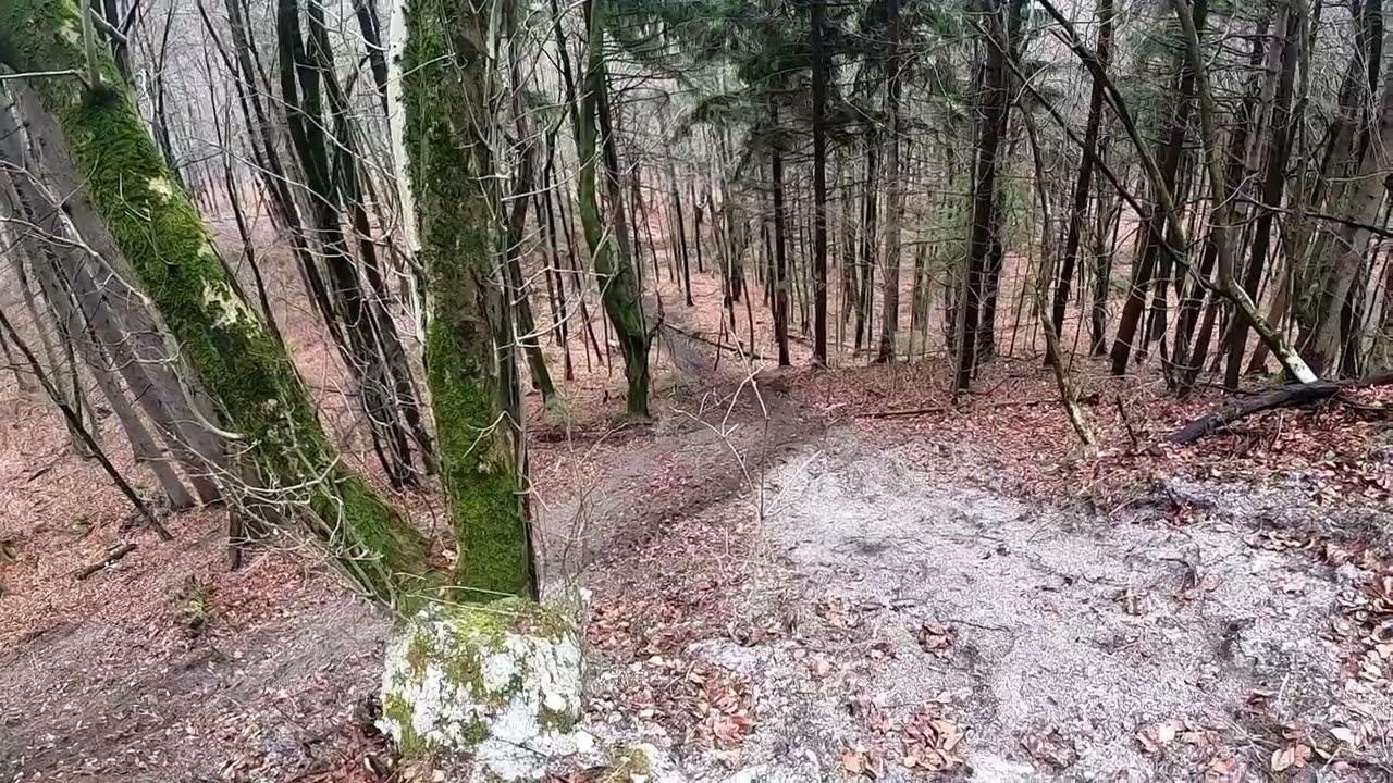 KTM EXC 250 TPI/KTM EXC 300 TPI/open throttle,hill,crazy,sound