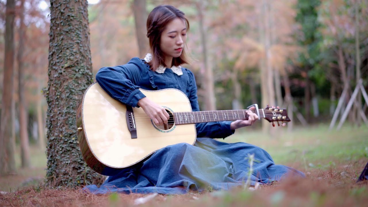 Donna Donna cover guitar