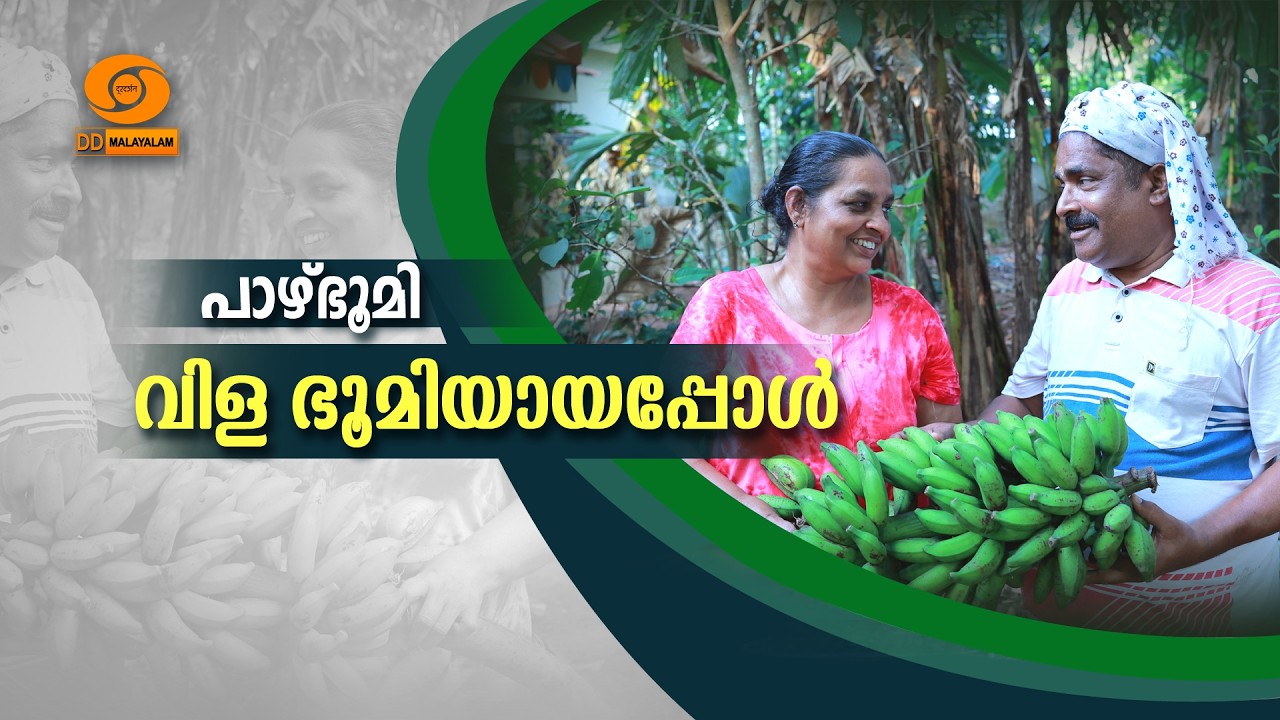 പാഴ് ഭൂമി  വിളഭൂമിയായപ്പോൾ || DOORDARSHAN || KRISHIDARSHAN || #doordarshan #krishitips