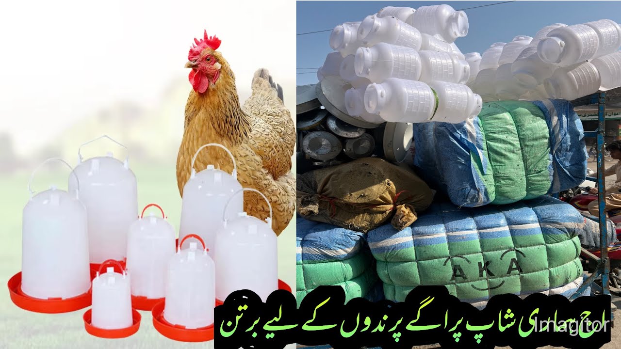 Aaj hamari shop per Aage parinde wale barman🐇🦢🦤🐓🦜🦃🪿🦆🕊️🦆🕊️🦃🪿🦜🐓🦃🦆🐓🐇