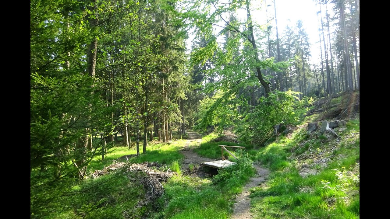 Stezka Českem 8. den: Petrovice - Chrastava