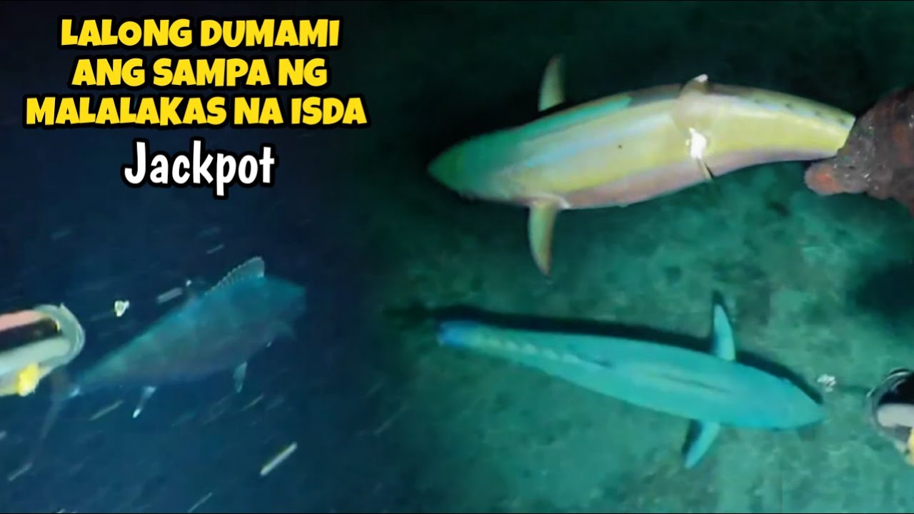 LALONG DUMAMI ANG SAMPA NG MALALAKAS NA ISDA JACKPOT | Night Spearfishing Philippines
