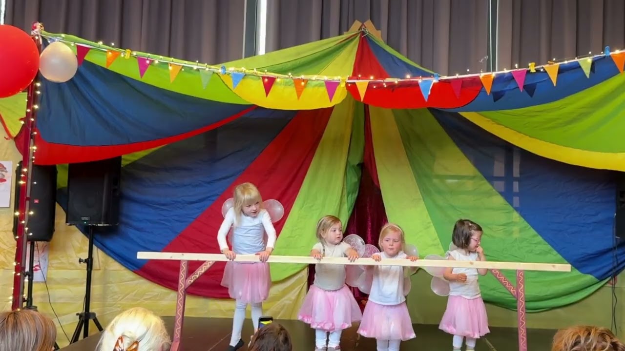 Circus De Berg De ballerina's