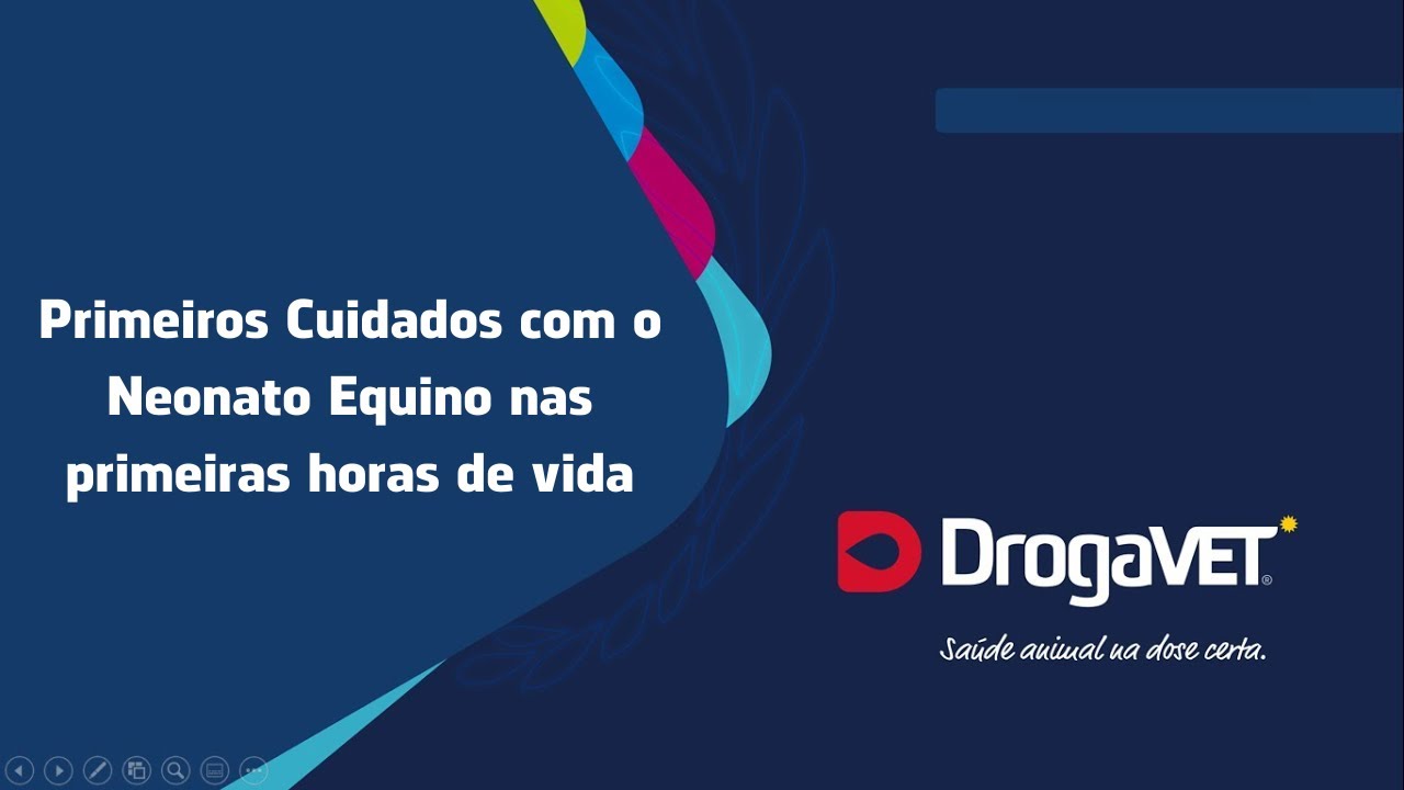 WEBINAR DrogaVET SP & NEOCARE- Primeiros Cuidados com o Neonato Equino nas primeiras horas de vida