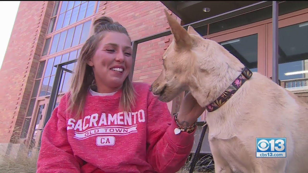 Ohio Woman Talks About Getting Lost In CA's Desolation Wilderness With Dog