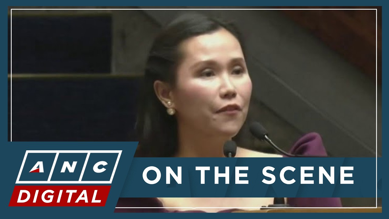 'Ito ba ang diskurso na nais natin sa Kongreso?' Matibag hits Suntay's Anne Curtis remarks | ANC