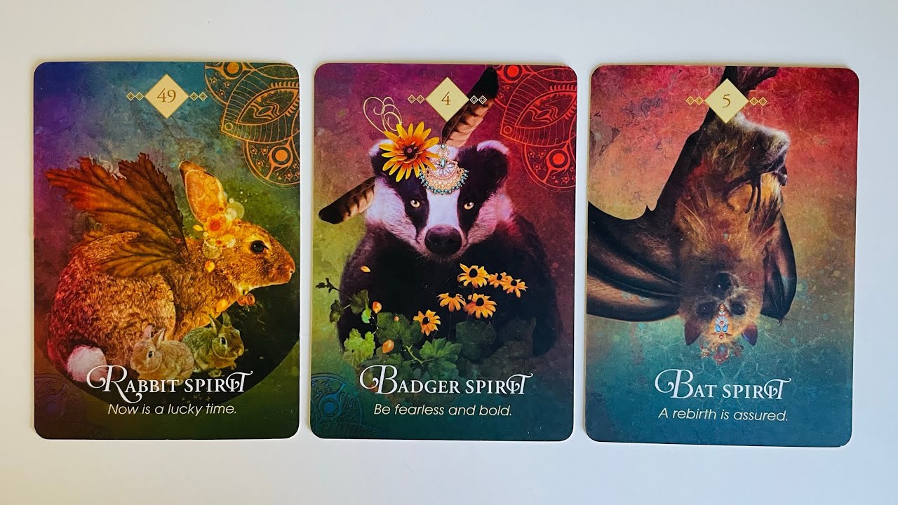 Your Future Spouse Revealed - Pick a Card - Timeless Tarot