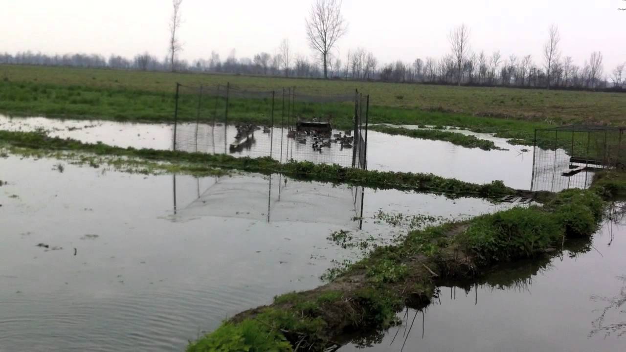 Guardie WWF Controlli antibracconaggio primaverile