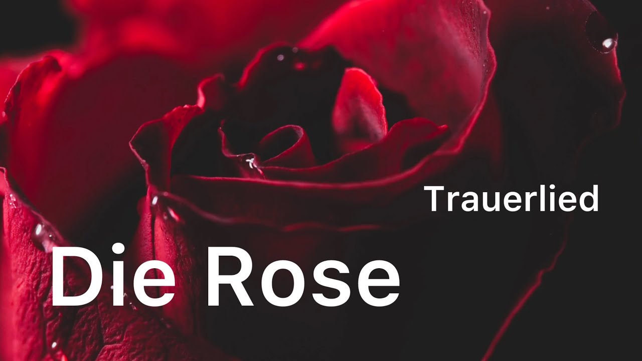 "Die Rose" auf Deutsch (Bette Midler/ Helene Fischer)- Trauerlied- Engelsstimme Anna