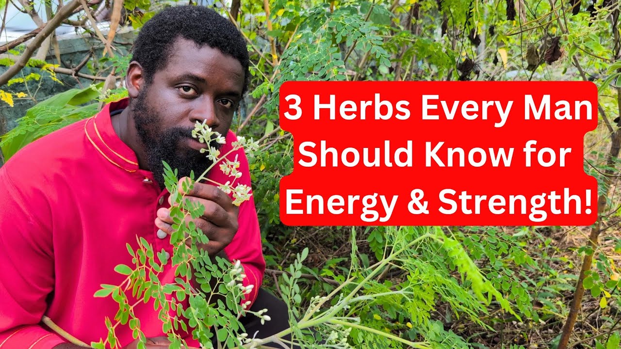 🌿 3 Powerful Jamaican Herbs Every Man Should Know for Strength, Vitality & Energy Naturally 💪