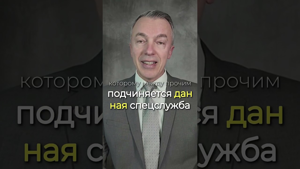 Власти объявили AfD экстремистской: начало запрета?