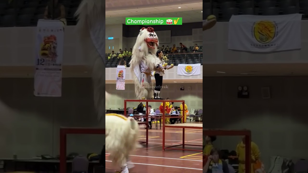 liondoncefreak 2024 第十二届马来西亚全国龙狮锦标赛2024 12th Malaysia National Dragon & Lion Dance Championship