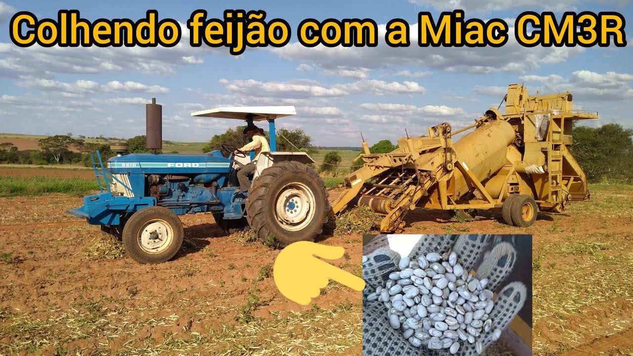 Colhendo a lavoura de feijão com a Miac CM3R e trator Ford 5610