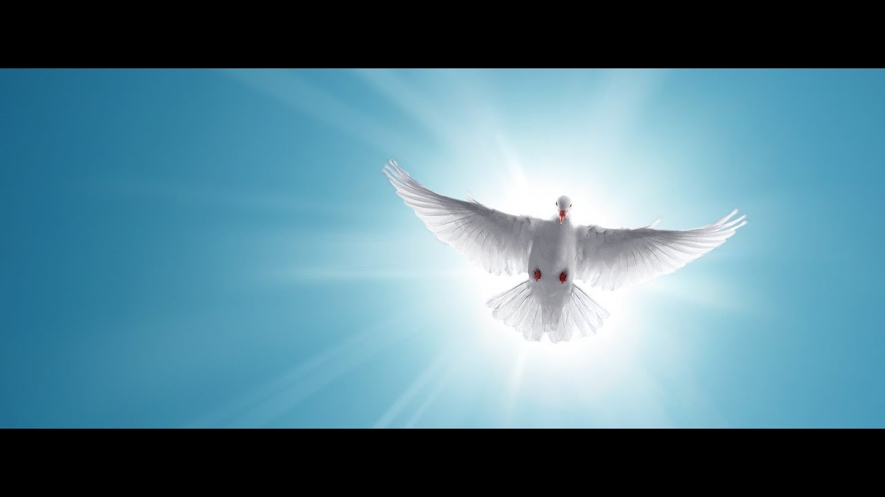 Michel P&eacute;p&eacute; - L' Ascension C&eacute;leste