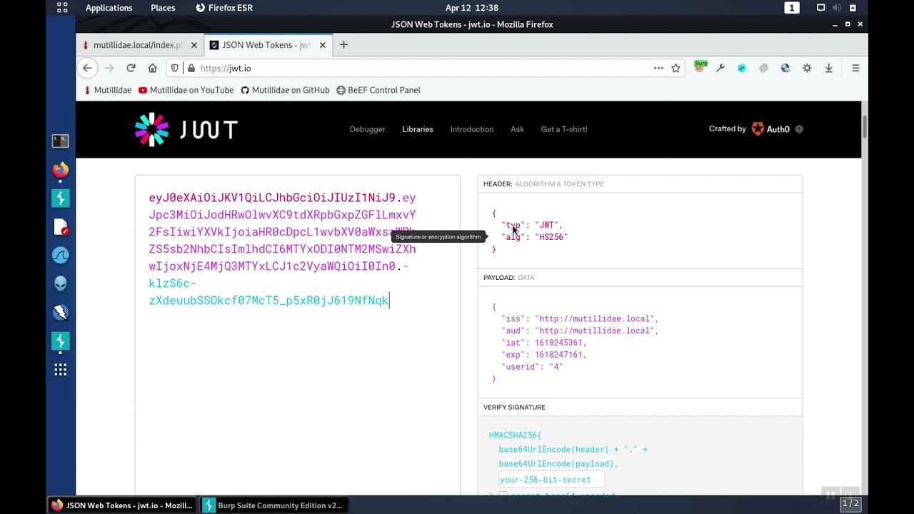 JWT Security: Part 1 - What is a JWT?