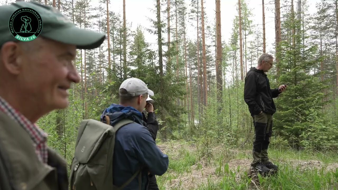 Jatkuvan kasvatuksen esimerkkejä Timo Pukkalan johdolla, osa 2