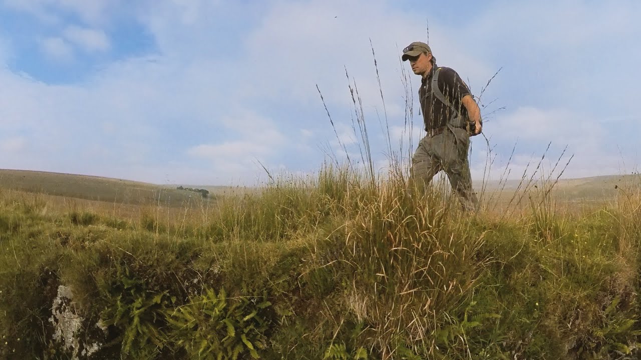 The Hound of the Baskervilles and Dartmoor (Film Footprints: Feature 2)
