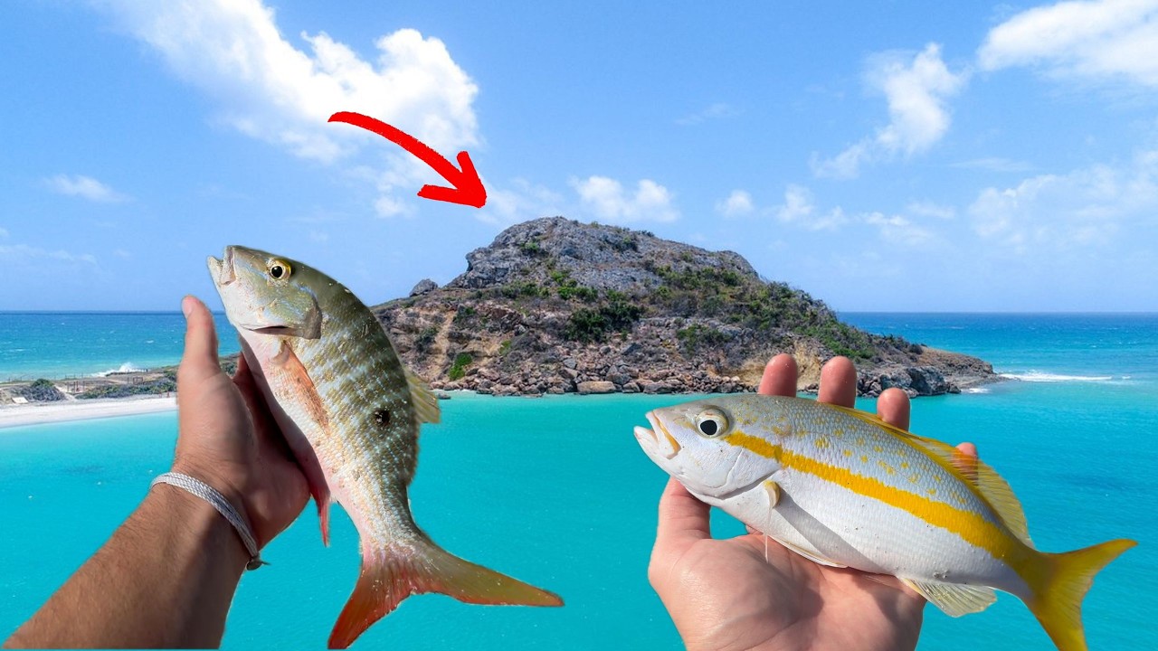 Perdí $100 | Pesca en Caja de Muerto
