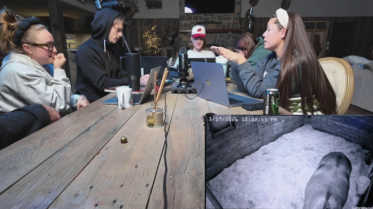 DND Foal Watch 3 - 01.19.26