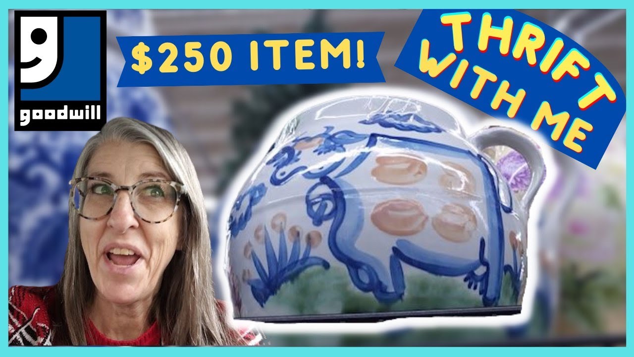 I WILL TURN $8 INTO $250 With Just 1 Item! Thrifting a Brand New Goodwill Thrift With Me
