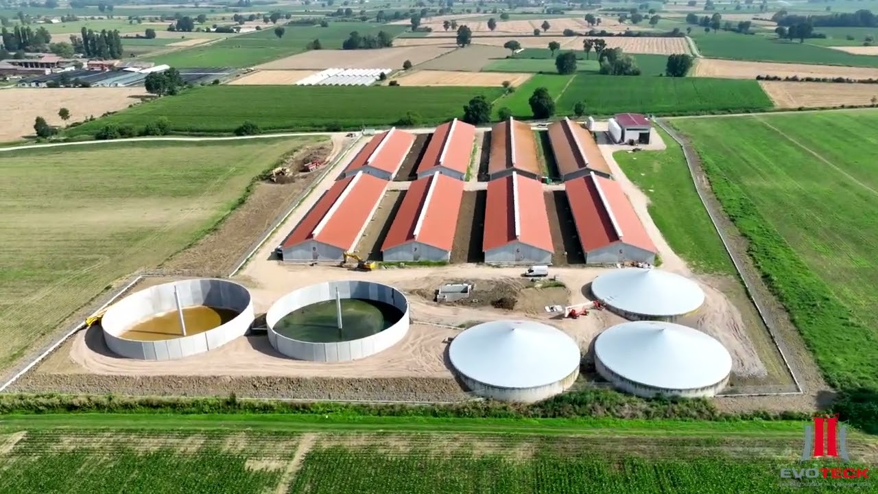Evoteck – Allevamento moderno per suini | Modern Pig Farming Facility | Ferma moderna pentru porci
