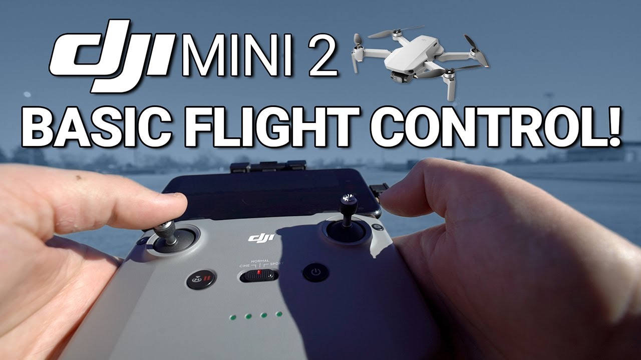 DJI Mini 2 / Базовое управление полетом (обучение)