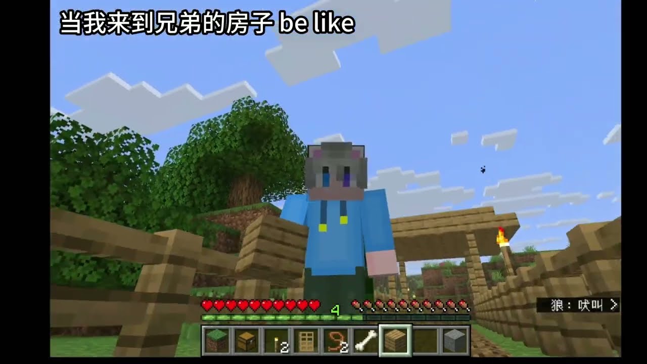 当我来到兄弟的房子时 be like