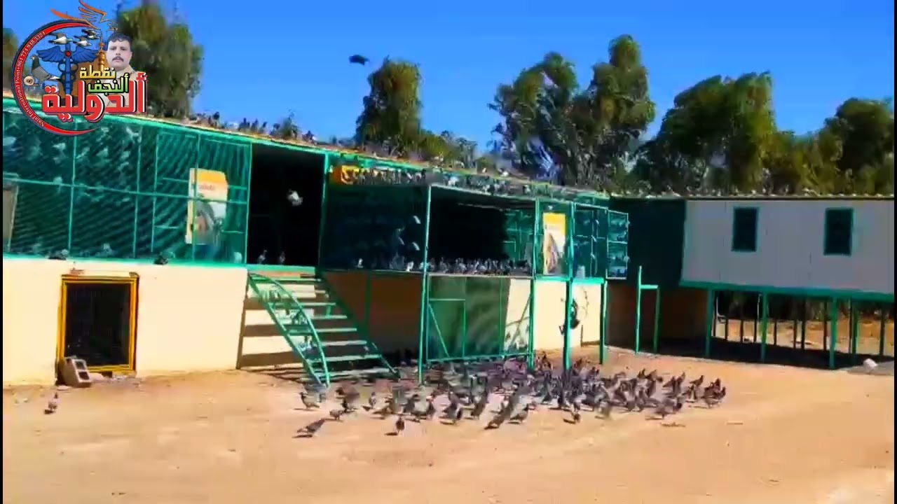 نقطة النجف الدولية