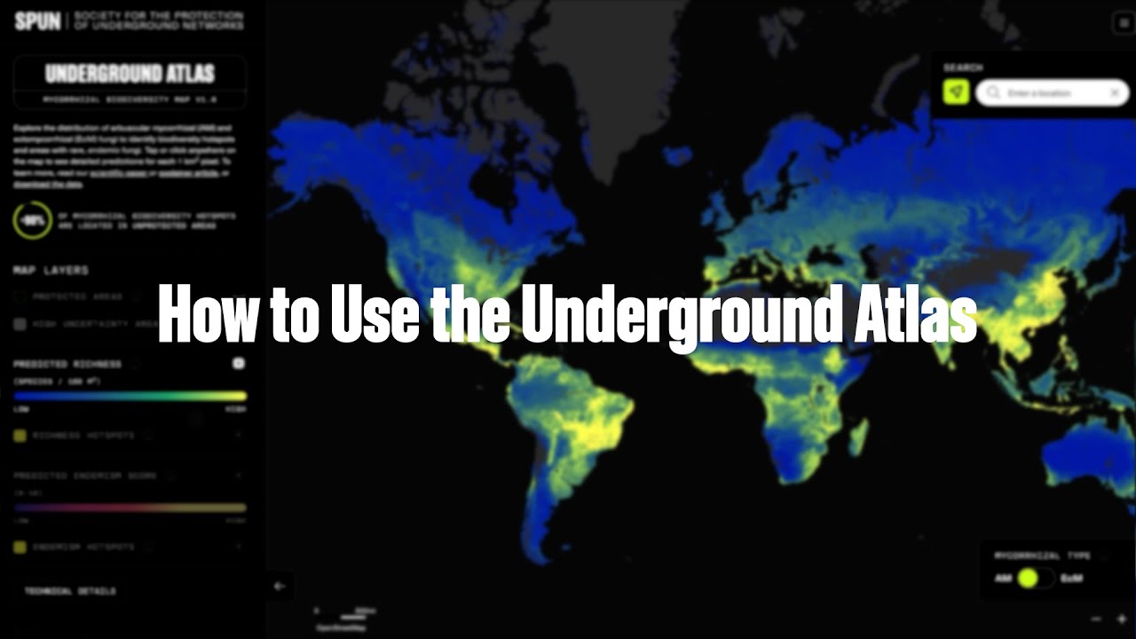 How to Use SPUN’s Underground Atlas