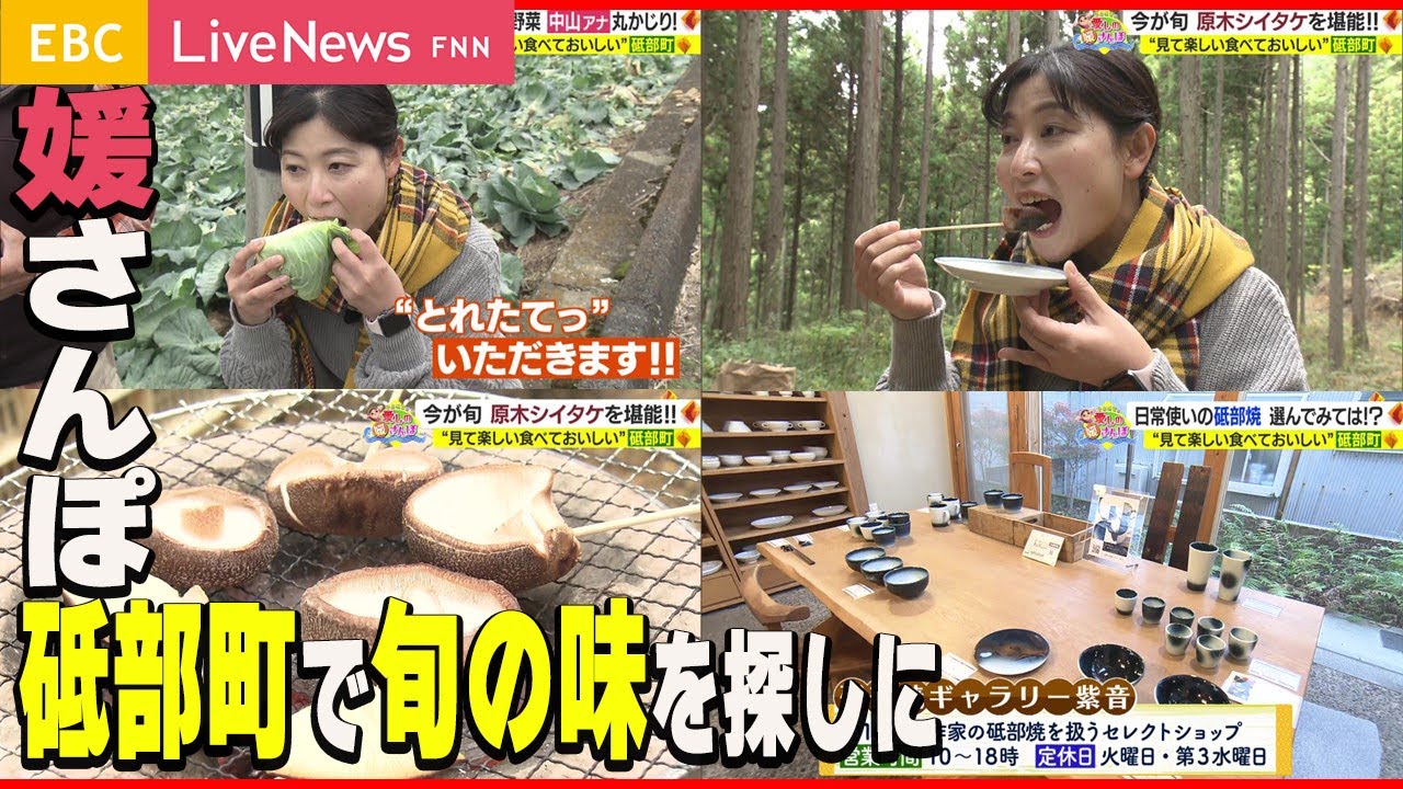 【媛さんぽ】見て楽しい食べておいしい砥部町