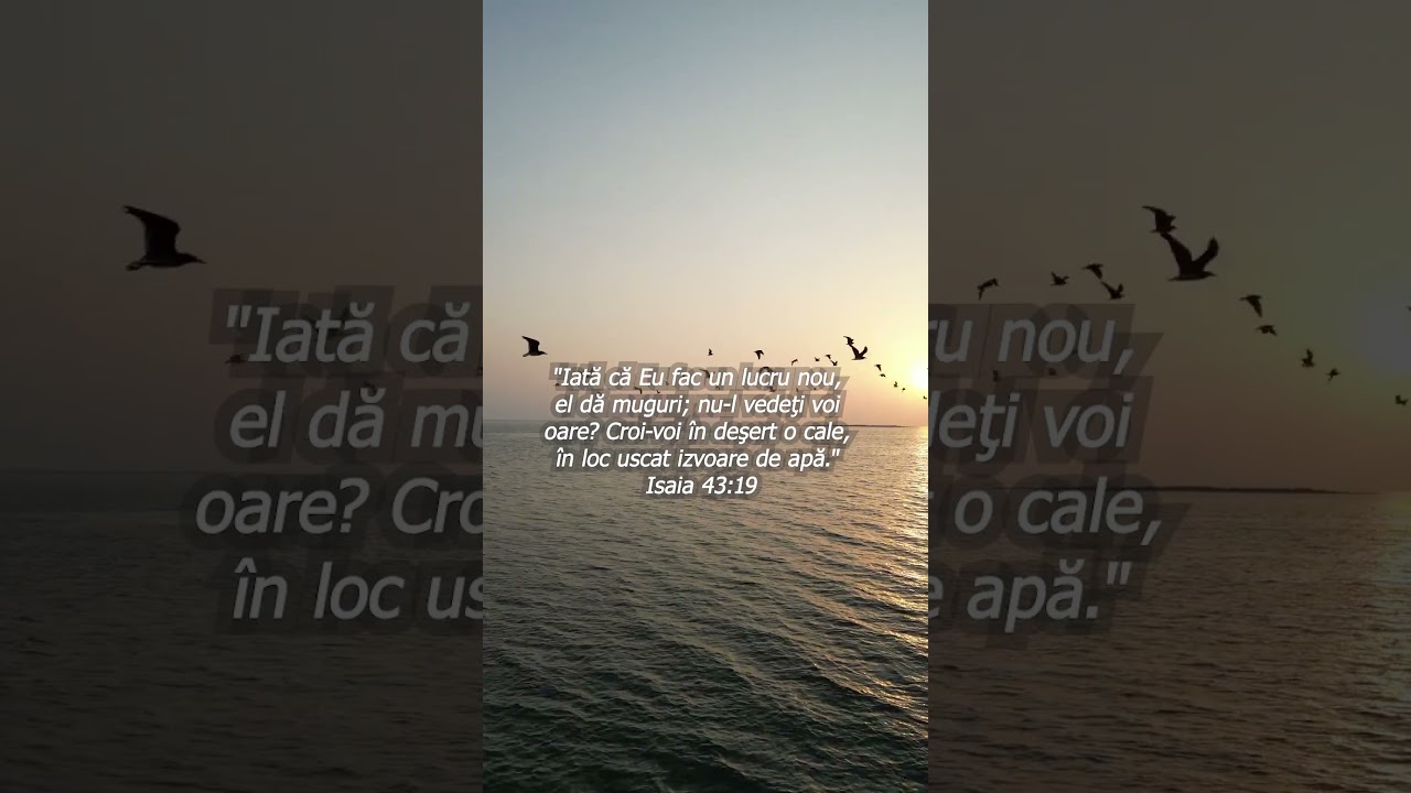 Isaia 43:19 Promisiunea de re&icirc;nnoire a lui Dumnezeu #creștini #scriptură #viralvideos