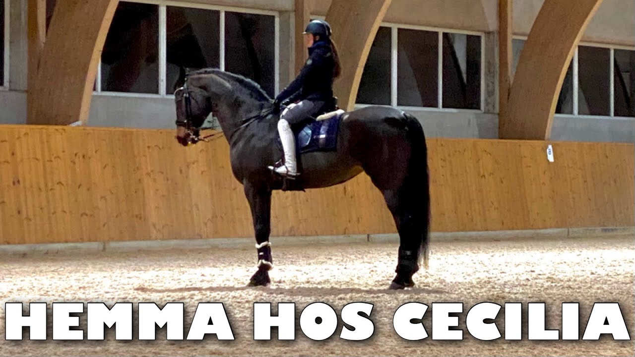 MINA NYA STÖVLAR | VLOGGAR HOS CECILIA