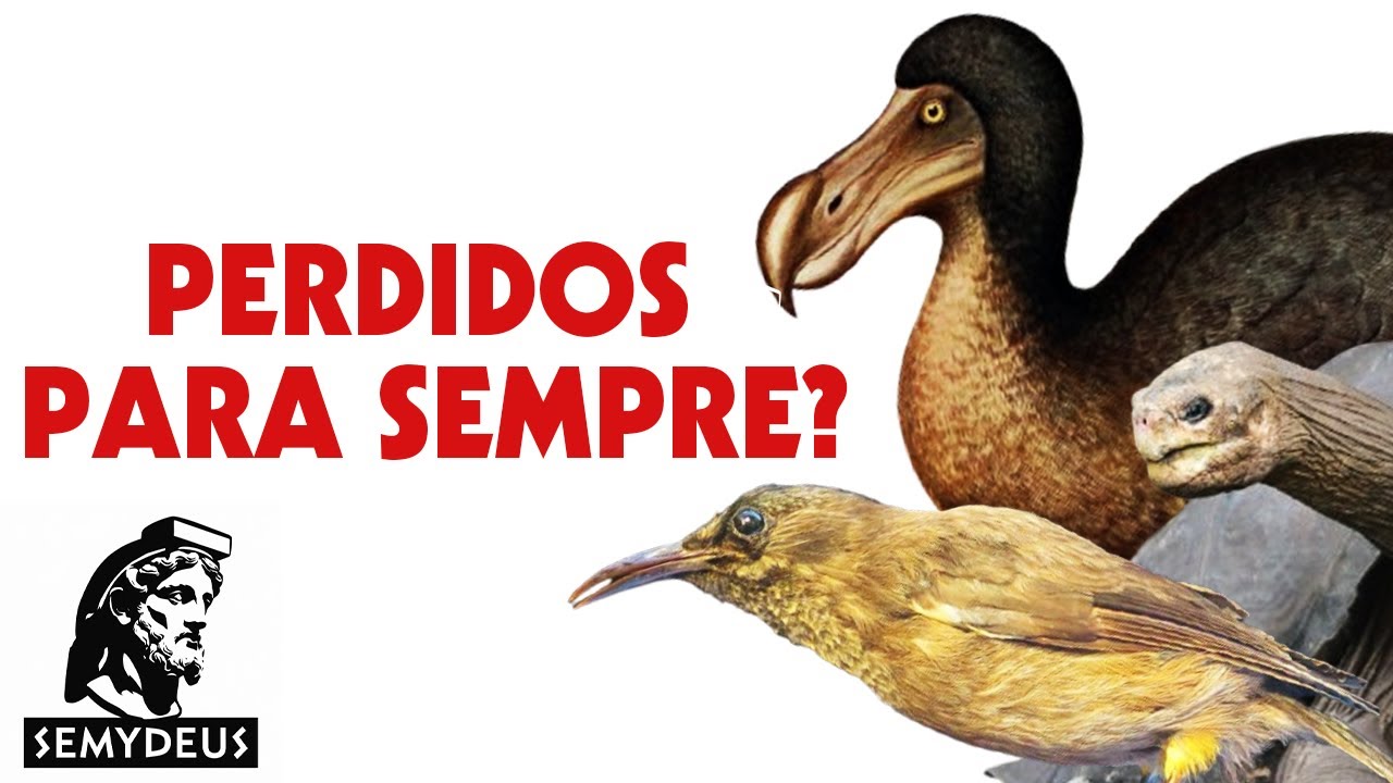 Animais que não Existem (mais)