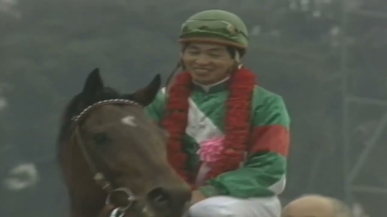 1985年　有馬記念　シンボリルドルフvsミホシンザン