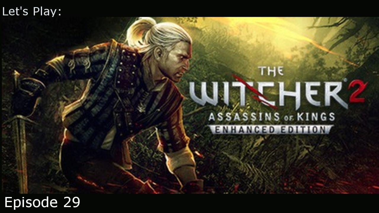 Deeper into the Pontar Valley -Ep 29 Let's Play: The Witcher 2 (Blind)