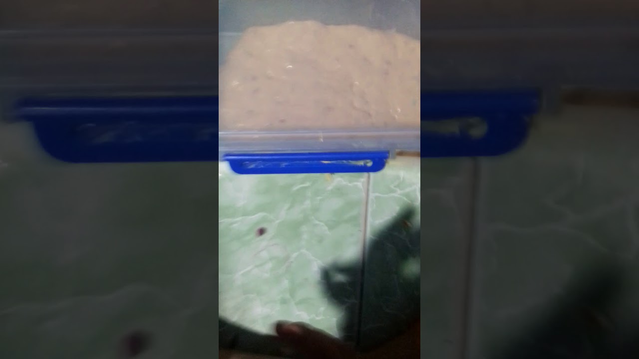 Slime cam hạt nha