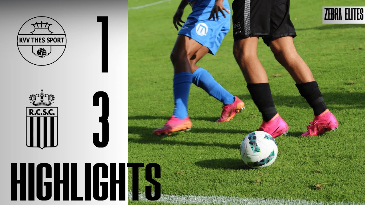 U23 - SAISON 23/24 - Journée 12 : Thes Sport - Zebra Elites