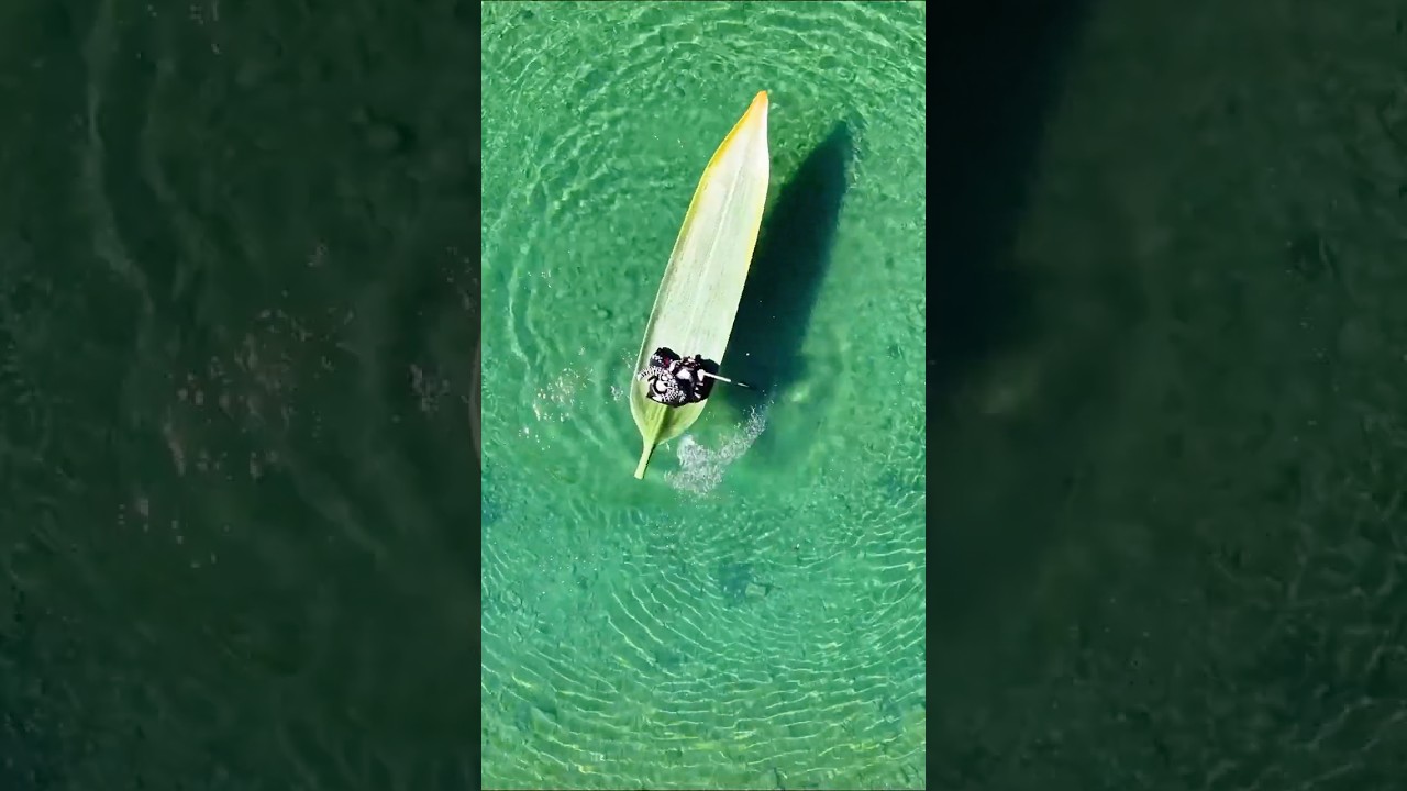 🌿Floating through emerald dreams 