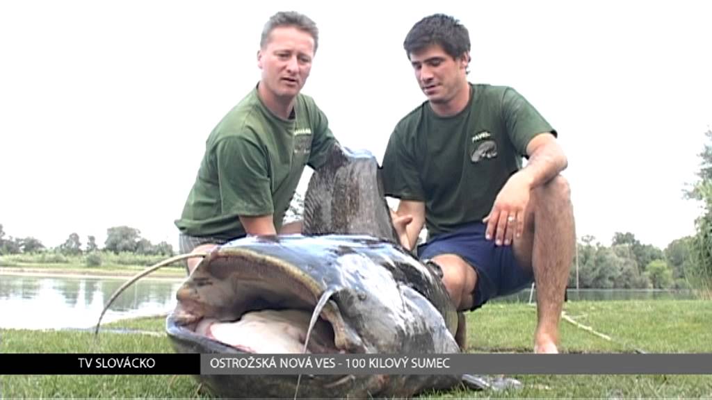 TV Slovácko: Ostrožská Nová Ves - Sumec