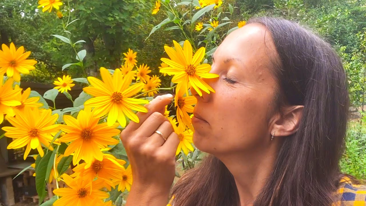 Cambio di stagione nell’orto 🌾 Pulizia, semine e profumo di erbe!