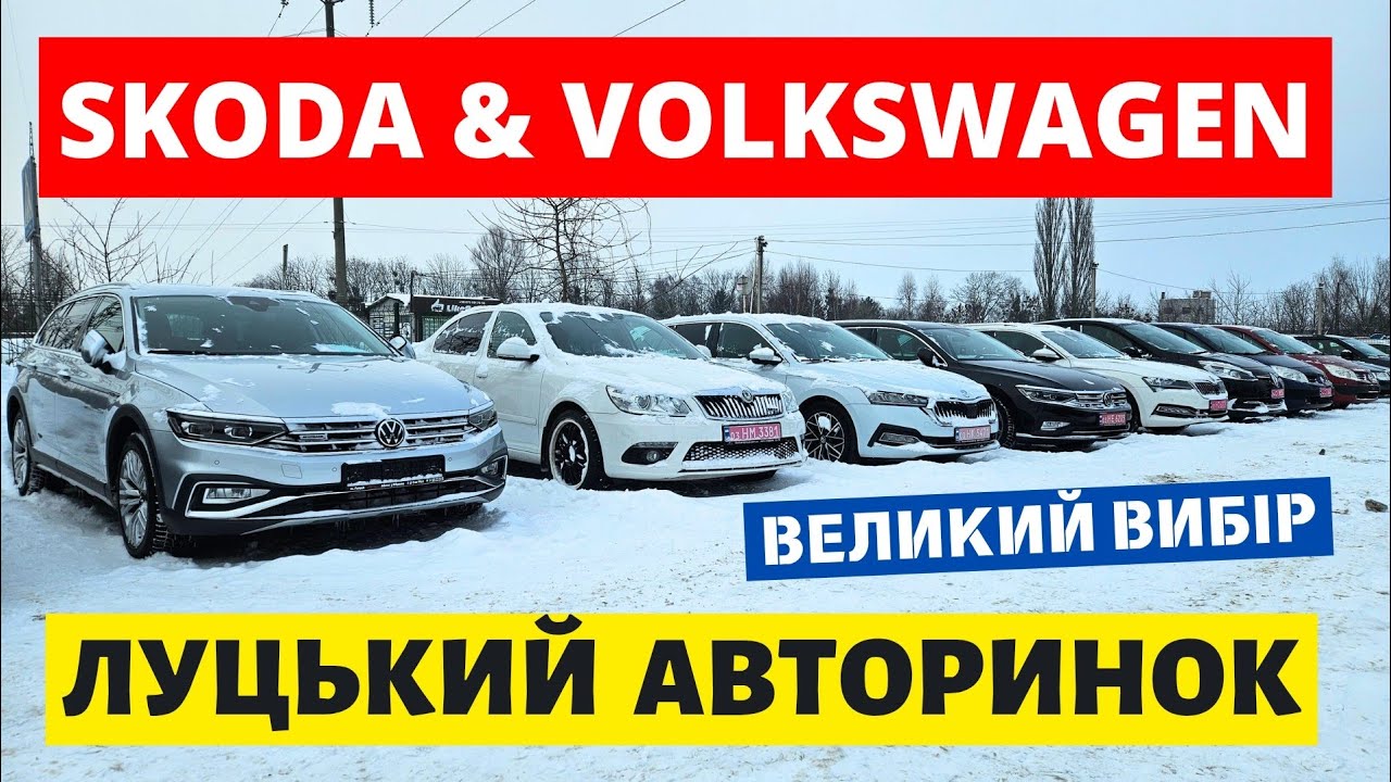 SKODA & VOLKSWAGEN В ОДНОМУ ВІДЕО //ЛУЦЬКИЙ АВТОРИНОК // 29.01.26р. #автопідбір #skoda #автобазар