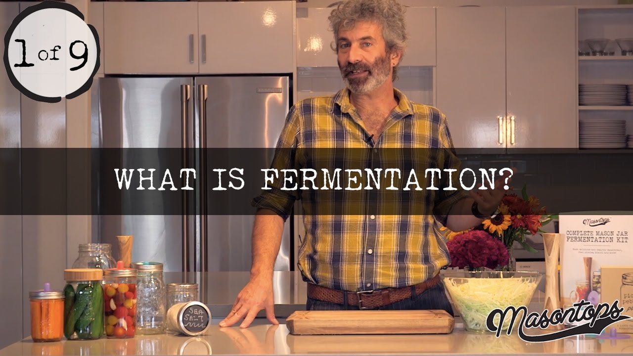(1 of 9) Sandor Katz - What is Fermentation Anyway?