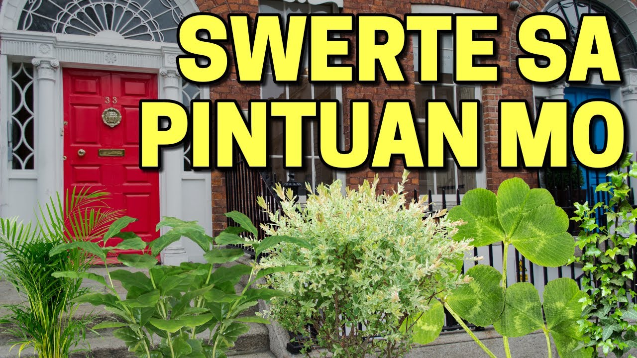 10 Halaman na Swerte sa Pintuan Mo! (PART 2) Magugulat ka sa resulta nito!!!