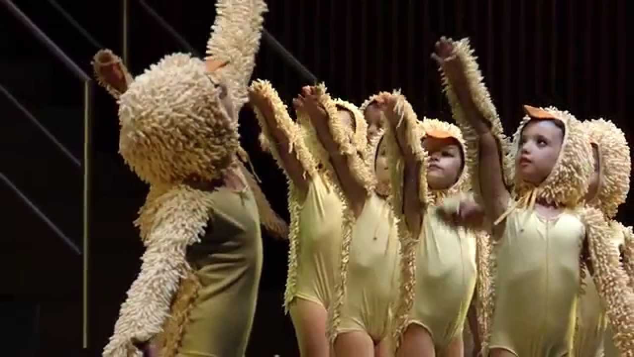 A Academia de Dança de Matosinhos apresenta Pinocchio, o boneco toureiro