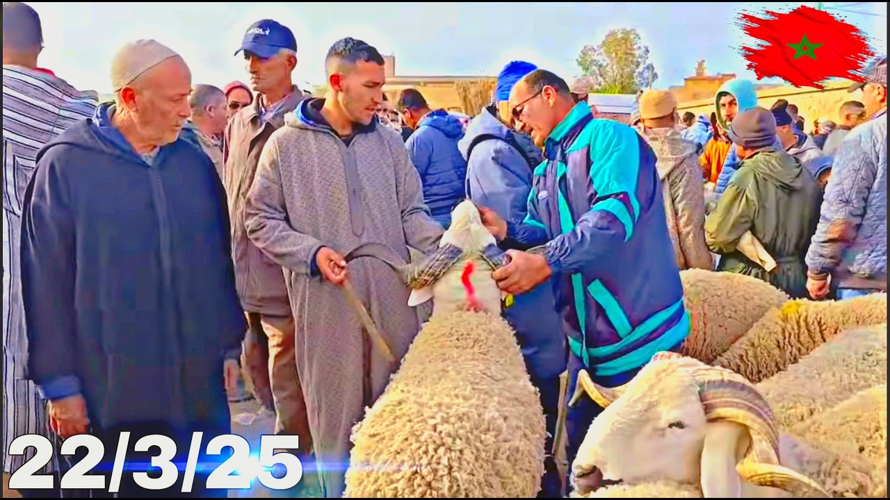 إنهيار غير مسـبوق في أثمنة الأغنام🐏والنعجة🐑والمعز🐐بعد قرار ملكي👑 من سوق السبت سلوان الناظور22/3/2025