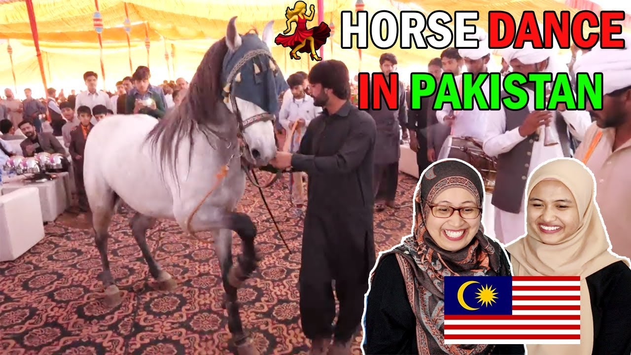 HORSE DANCE | Pakistani Food VILLAGE WEDDING | Malaysian Girl Reaction