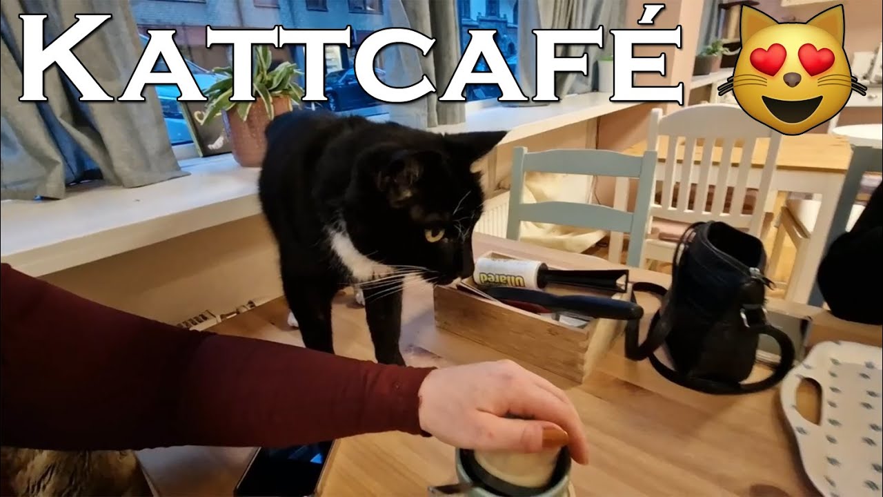 Shoppar och besöker Kattcafé - Vlogg ♥
