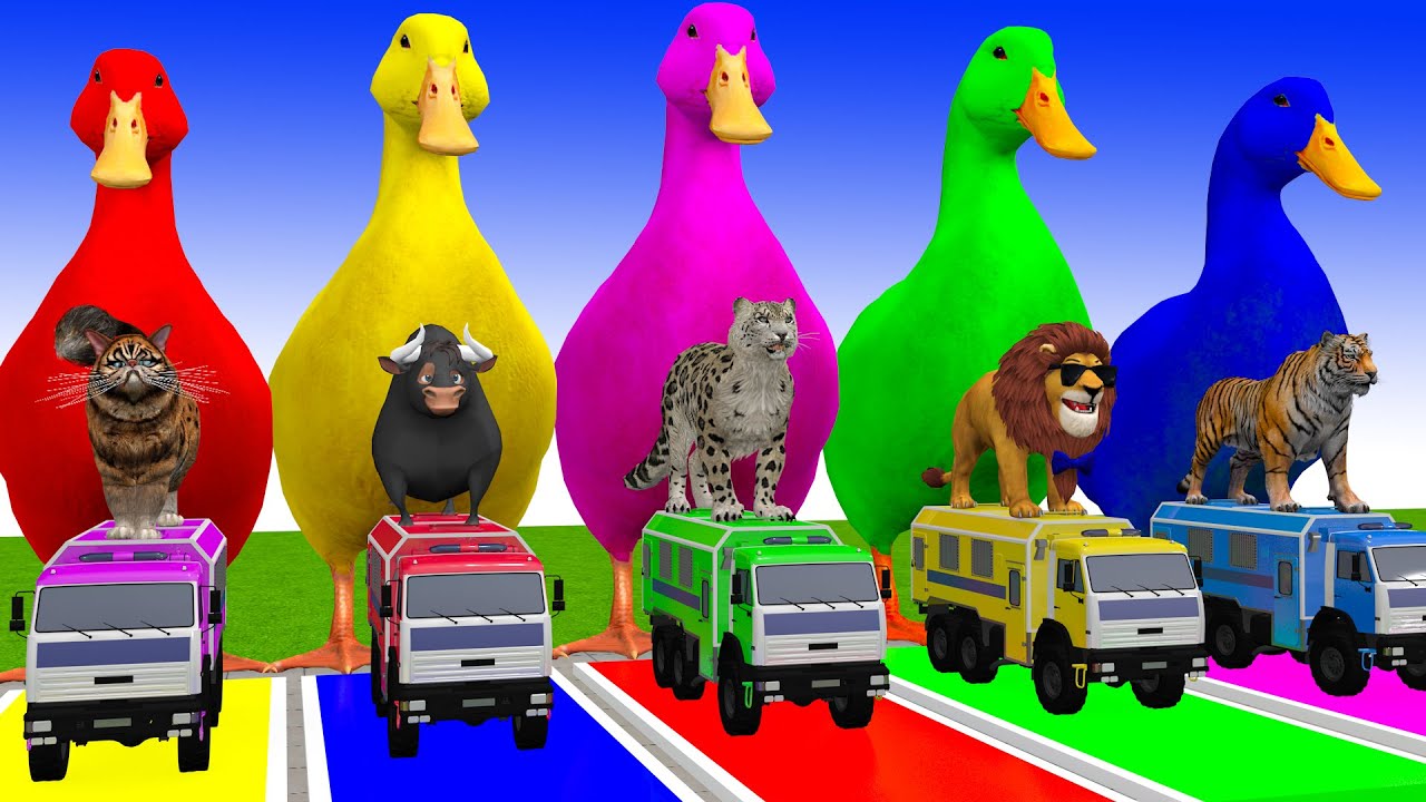 Long Slide Game With Cow Elephant Gorilla Hippopotamus Tiger 3d Animal Game Funny 3d Animals