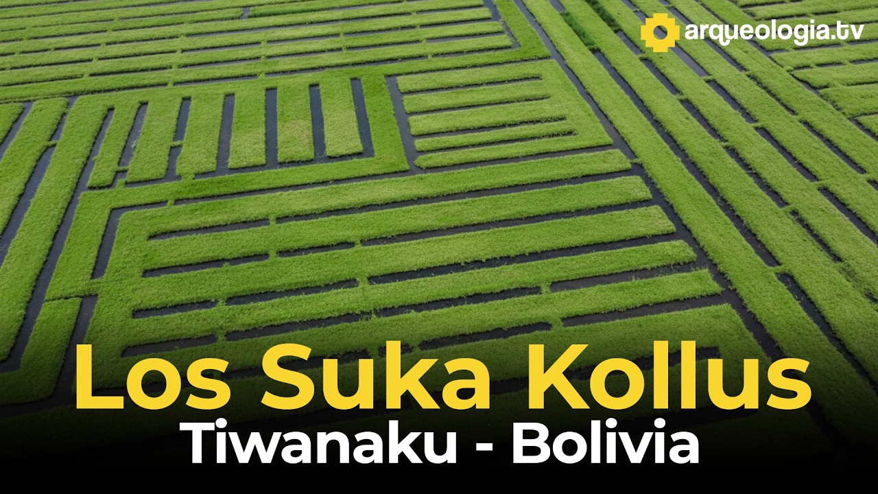🇧🇴 Los Suka Kollus en Tiwanaku - Bolivia